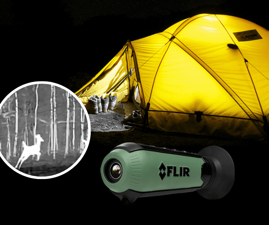 Vacaciones más seguras: cómo ver personas y animales en total oscuridad - Colvin y Cia Ltda.