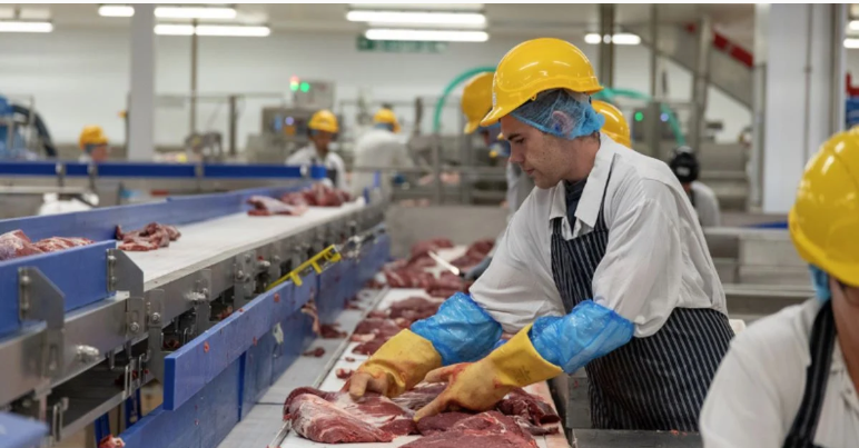 Las cámaras FLIR mantienen a la sala de producción de carne de Dovecote Park a salvo de incidentes de incendio
