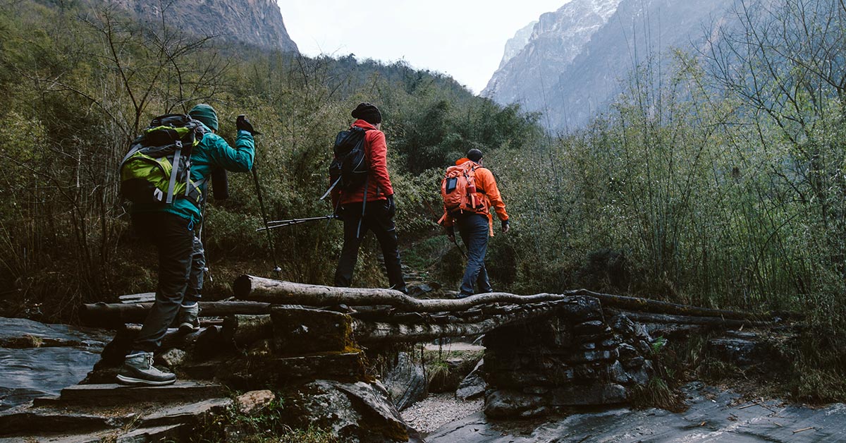 Simulador termográfico para exteriores - Colvin y Cia Ltda.